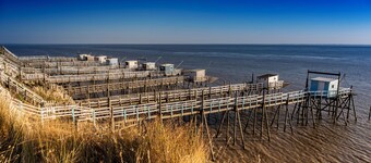 Domaine de Kiba - Le Chai 2 Chambres - Charme et Confort vue sur les Vignes
