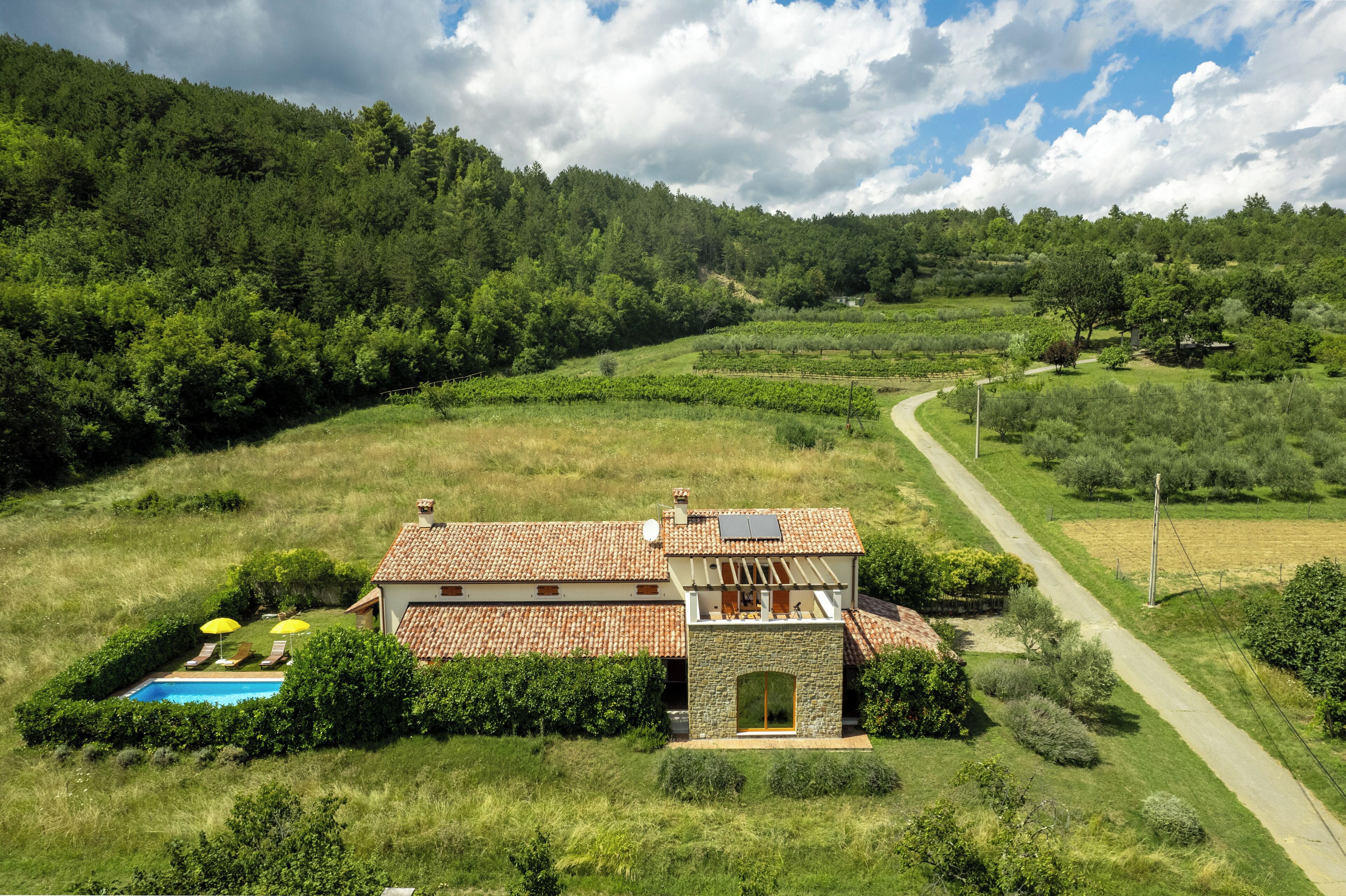 Uma casa moderna com piscina, rodeada por vegetação exuberante e um caminho sinuoso.