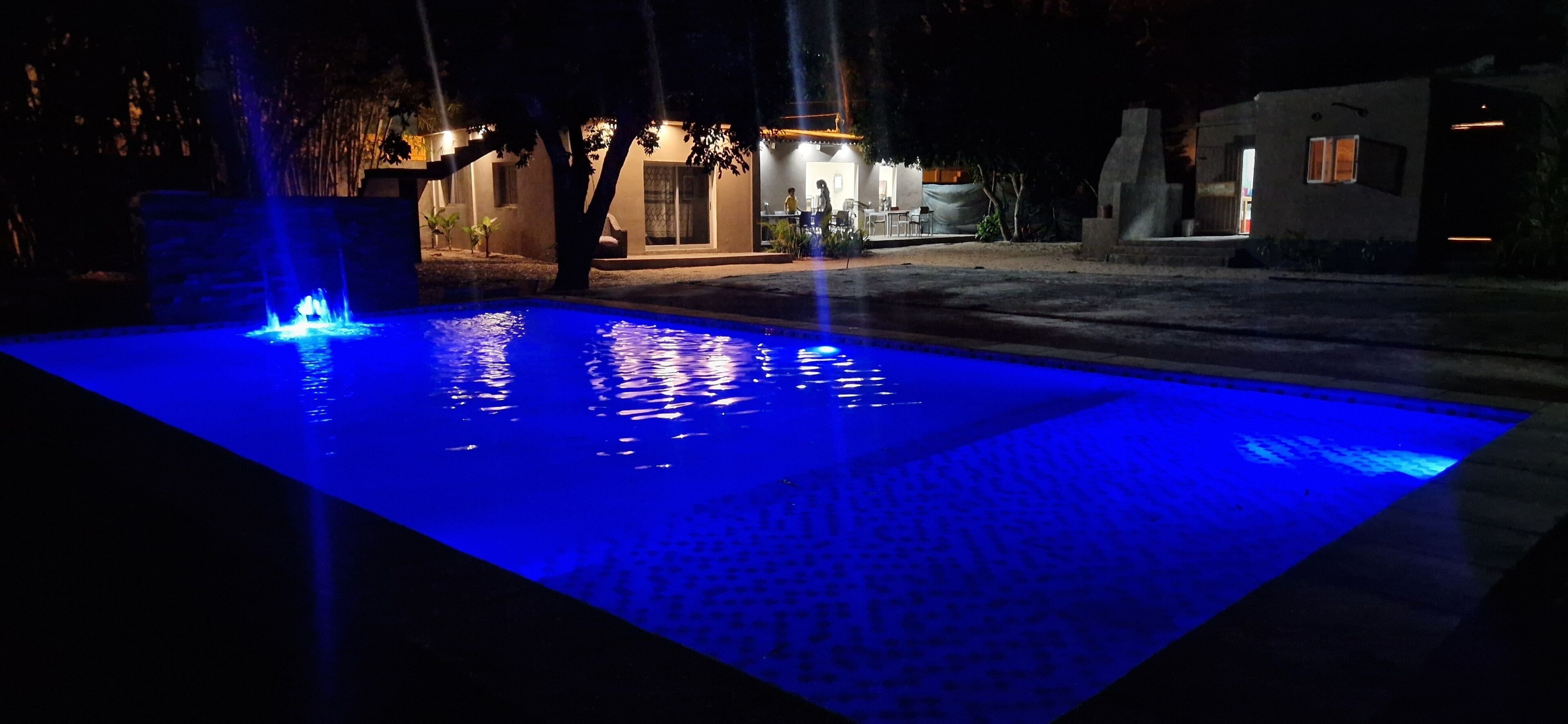 A swimming pool with blue lighting at night, surrounded by trees and a building with illuminated windows.