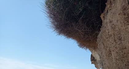 A 5mn à Pied du Centre de Bosa et de ses Maisons Colorées et 2 km de la mer