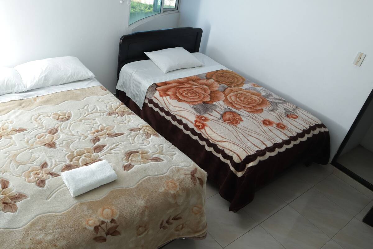 Basic Double or Twin Room, City View | Desk, WiFi (free)