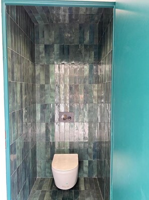 Shower, towels, soap, toilet paper