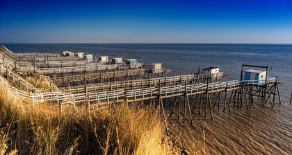 Domaine de KIBA Maison de Maitre. 4 suites idéal pour cousinade-familles-réunion