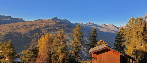 Udendørsområde