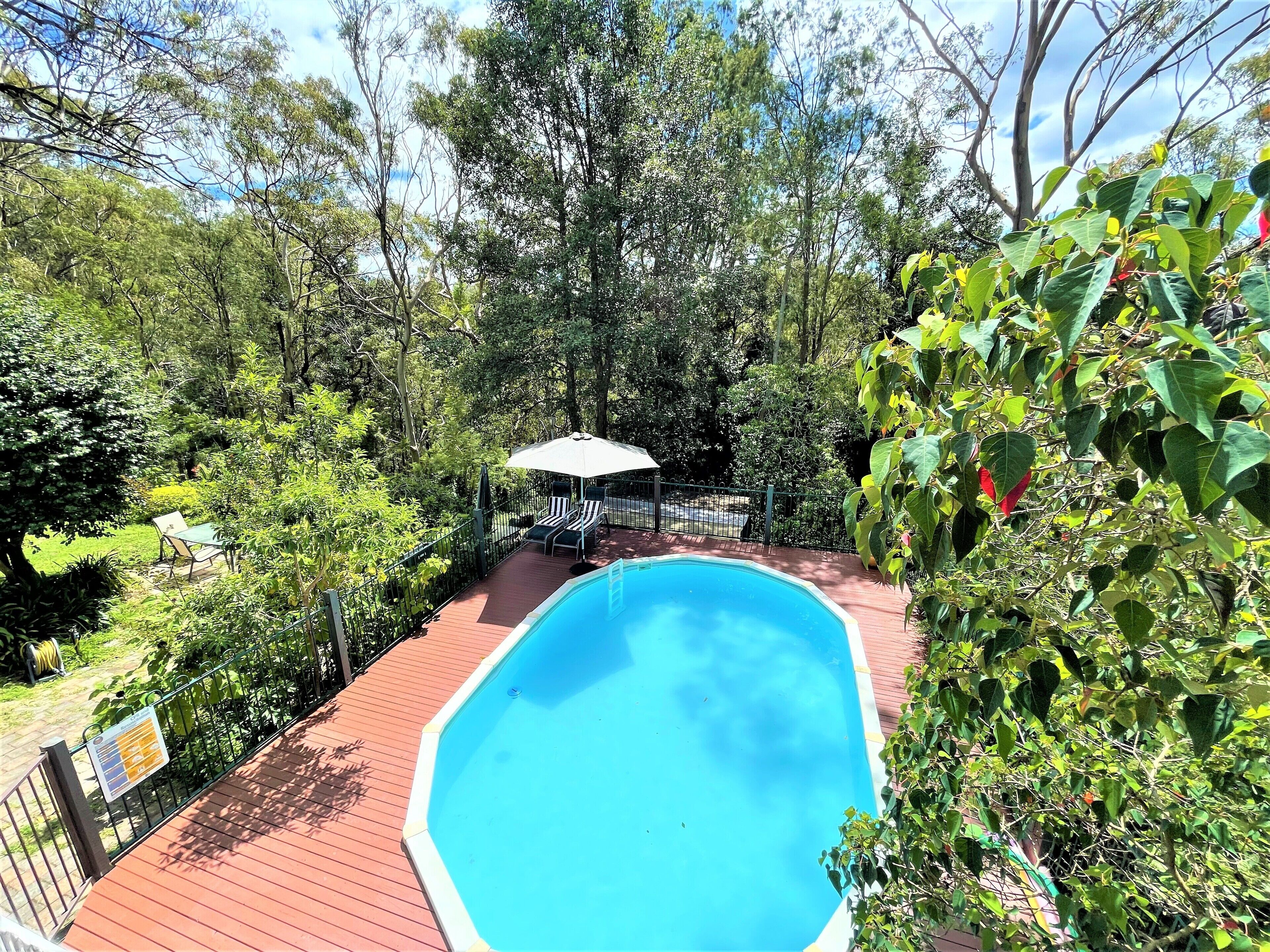 A swimming pool with a wooden deck, surrounded by lush greenery and trees.