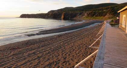 Sunset Escape! 3-bedroom bungalow near the Ocean with AC and WIFI.