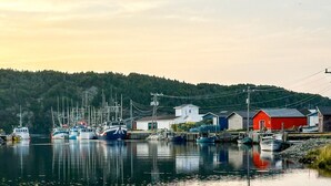A harbor with boats docked, a red building, and a forested hill in the background.