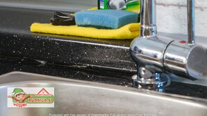 Eine Spüle mit einer Flasche W5 Power Green Geschirrspülmittel, einem gelben Schwamm und einem Wasserhahn.