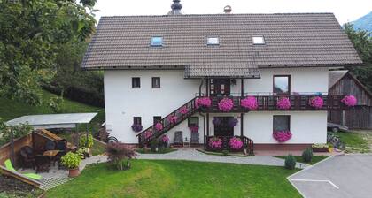 STUDIO Orhideja, 2 osebi - GARSONJERA