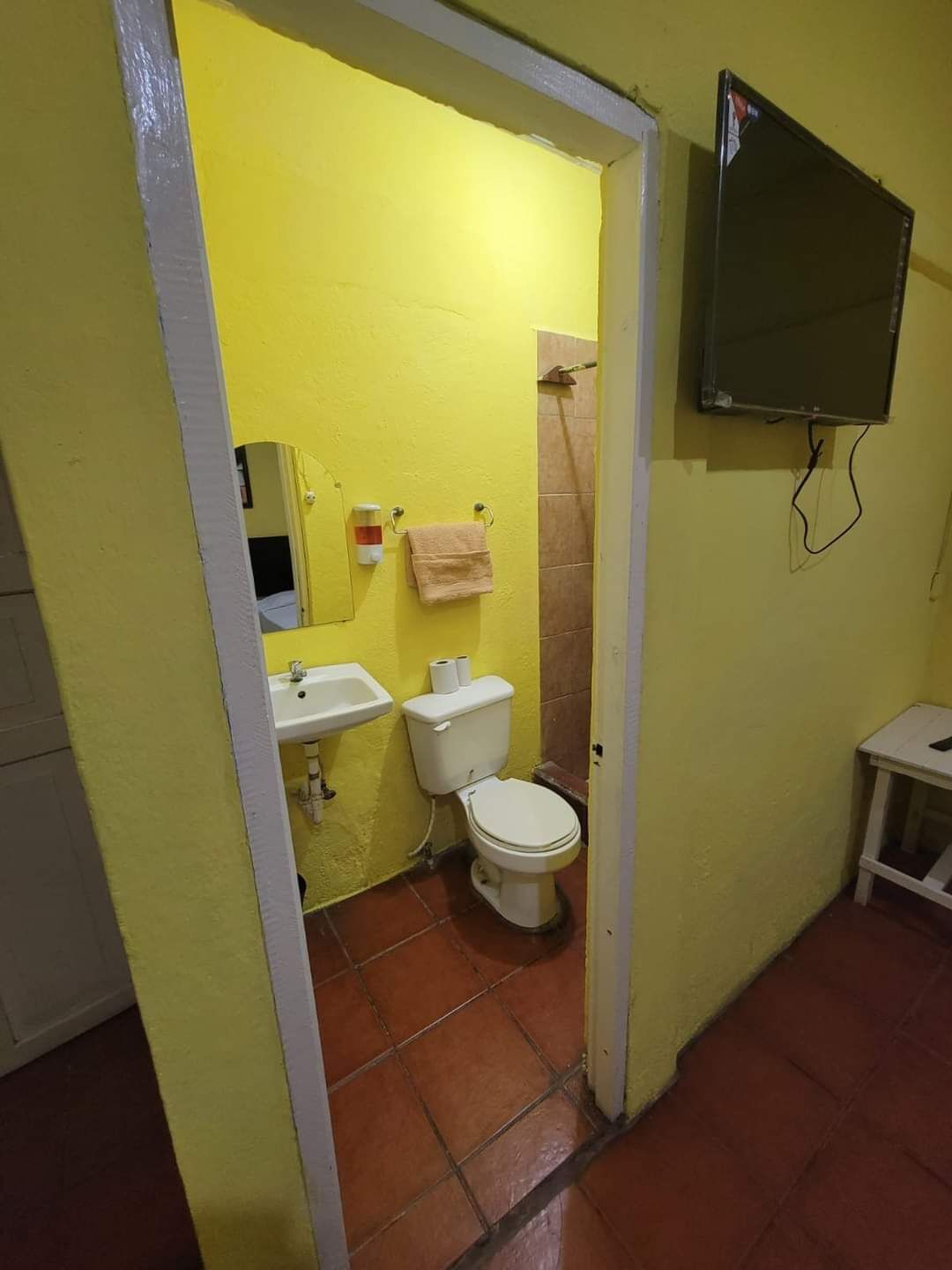 Ein kleines Badezimmer mit gelben Wänden, einem weißen Waschbecken, einer Toilette und einer Dusche.