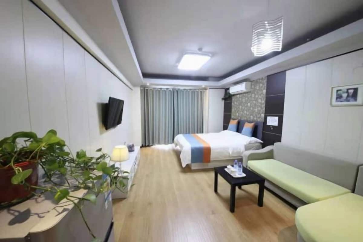 A hotel room with a bed, a sofa, a small table, a TV, and a plant.