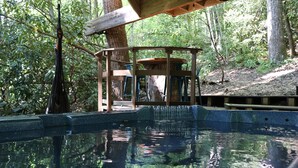 A clear pool surrounded by trees, a wooden deck, and a gazebo-like structure. - The Hidden Hemlock Treehouse your fall escape!  4x4 required. (Elizabethton)
