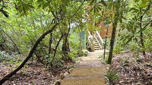 A gravel pathway leading to a wooden staircase surrounded by dense foliage. - The Hidden Hemlock Treehouse your fall escape!  4x4 required. (Elizabethton)