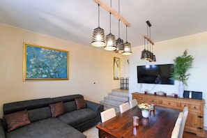 Smart-TV, Kamin
