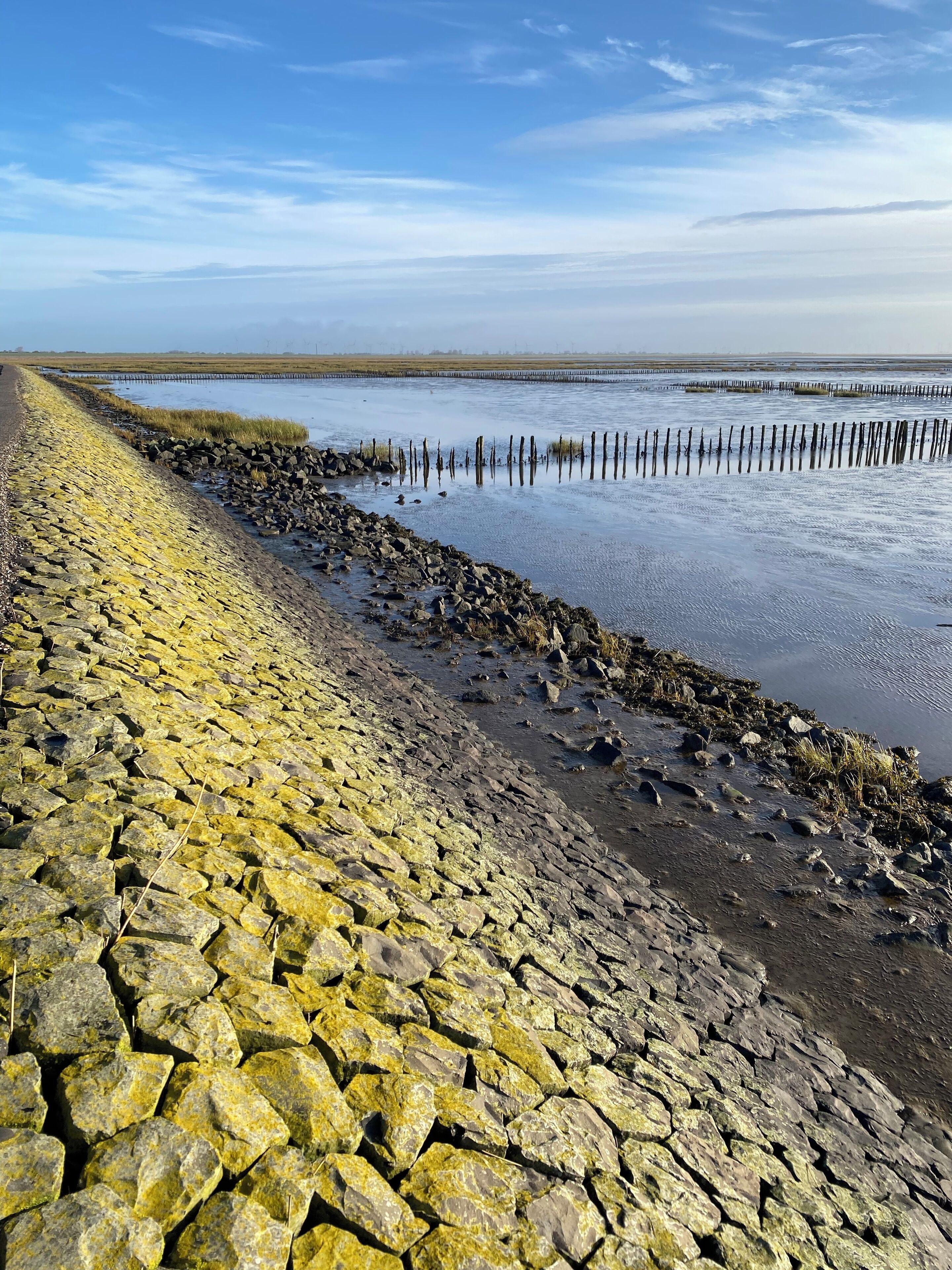 A coastal walkway with a rocky path and wooden posts.