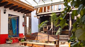A rustic outdoor seating area with wooden benches and tables, surrounded by potted plants and a wooden fence. - Troje tradicional purépecha - live the experince (Morelia)