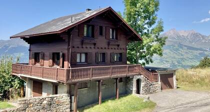 chalet indépendant en station - 300 m du départ des pistes - Animaux acceptés