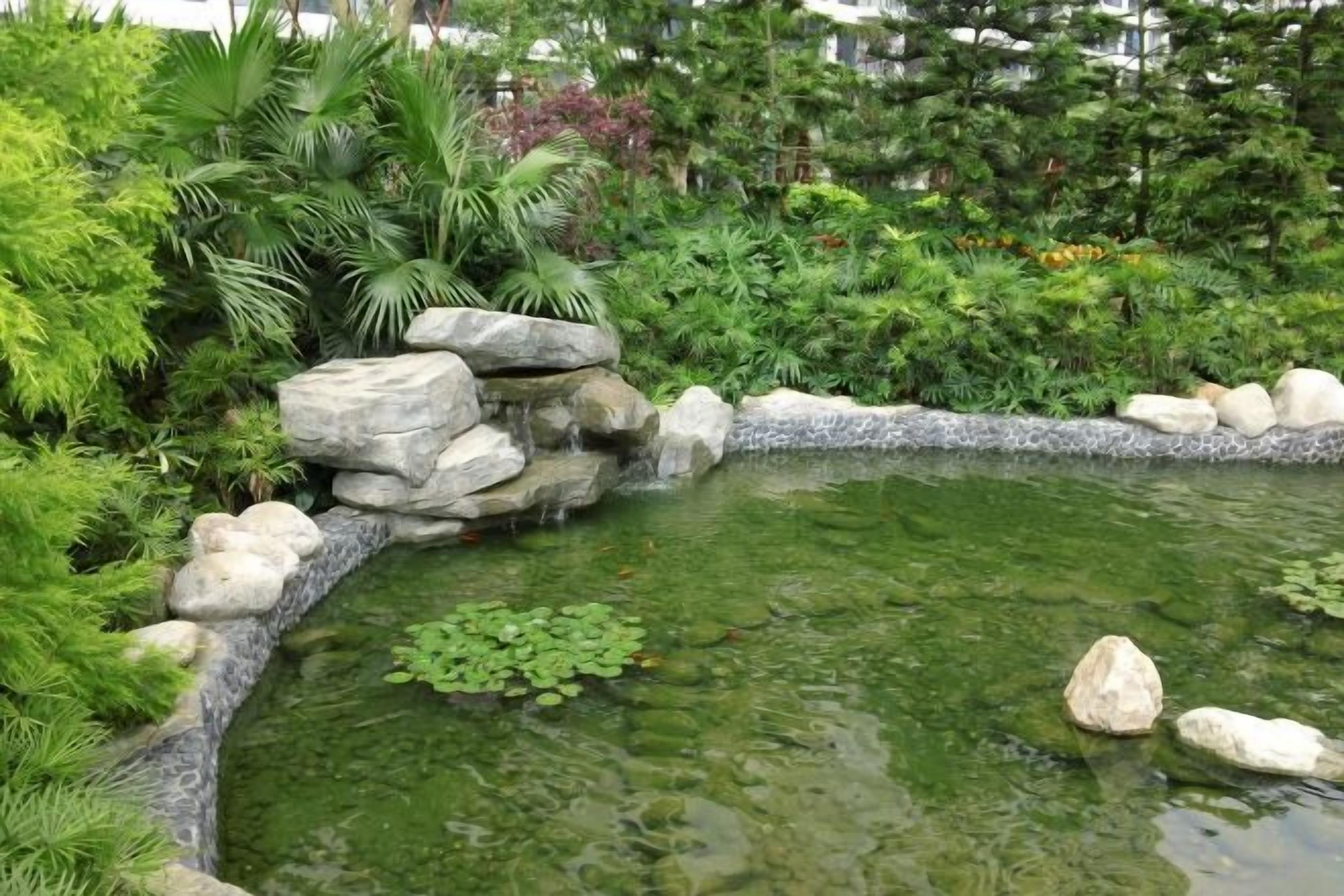 A pond with rocks and plants.