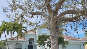 Une maison de plain-pied avec un grand arbre devant, un garage et un jardin bien entretenu.