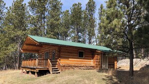 A log cabin with a green roof, a porch, and a stack of firewood in front. - Log cabin with WiFi in quiet community above Custer.  (Custer)