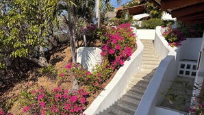 A white building with a sloped roof, surrounded by pink bougainvillea plants and a palm tree. - Spacious villa in Ixtapa with beautiful ocean views (Ixtapa Zihuatanejo)