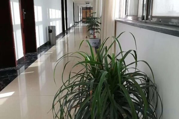 A hallway with a potted plant, a trash bin, and a window.