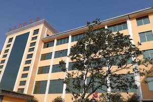 Un edificio de varios pisos con fachada plana, ventanas grandes y un árbol en primer plano.