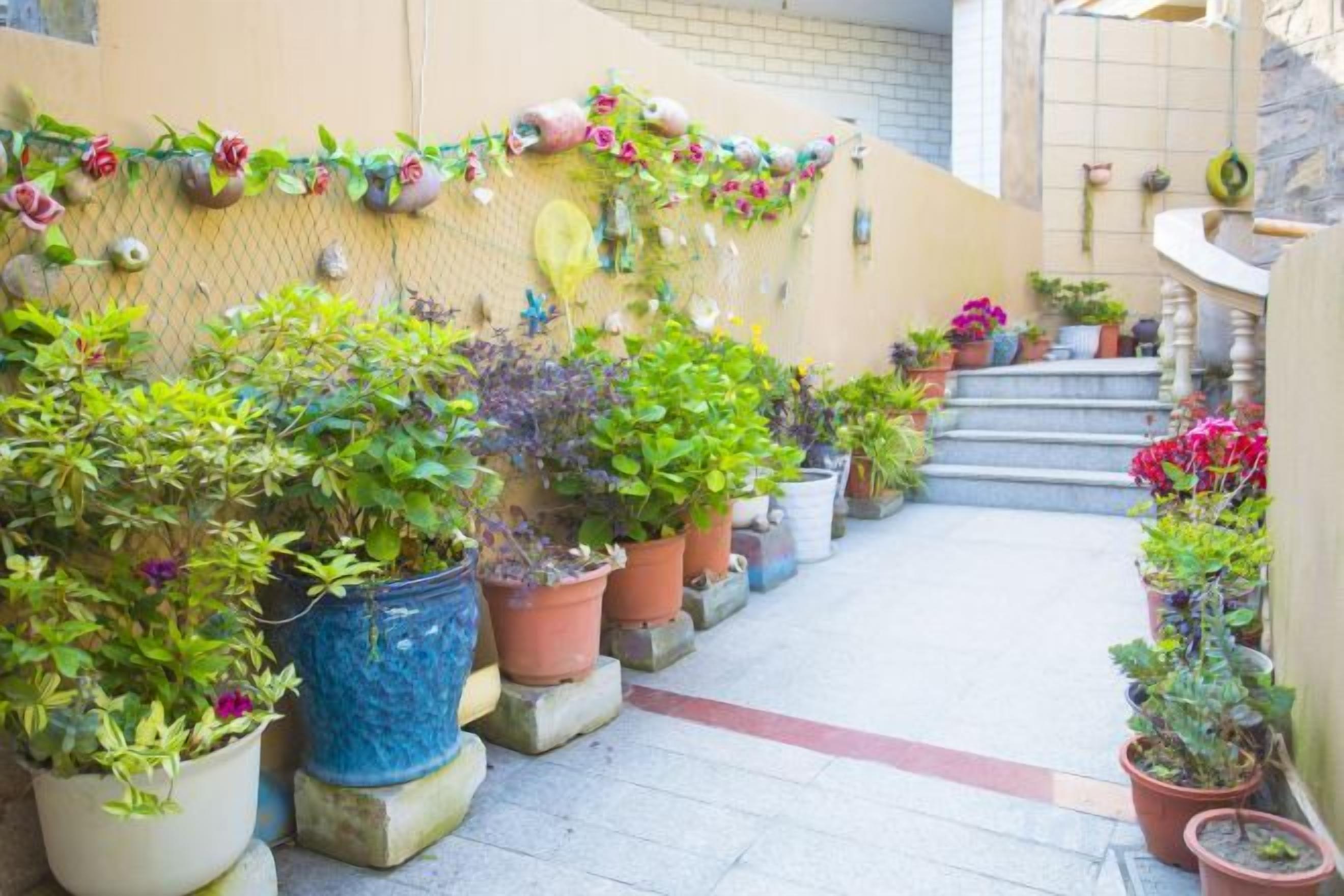 المنطقة المحيطة بالمنشأة