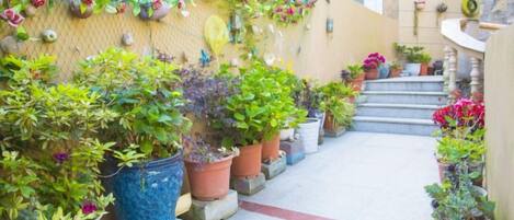 A narrow pathway flanked by potted plants and a staircase leading to an upper level.