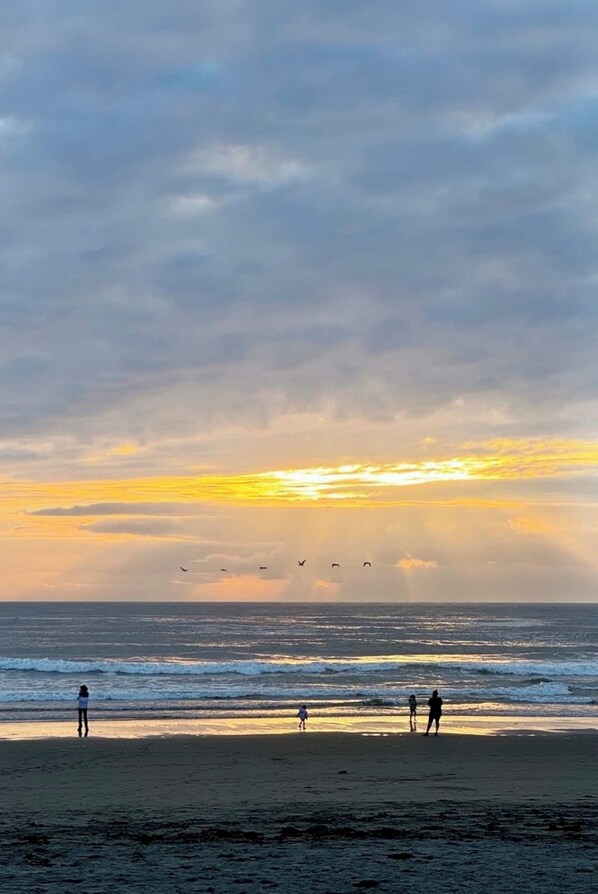 A beach scene with people walking along the shore, a sunset in the background, and birds flying over the water. - Ocean Shore Private Lovely house (Ocean Shores)