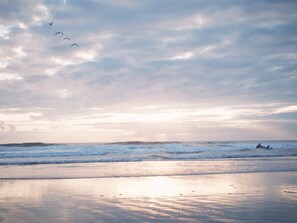 Beach - Ocean Shore Private Lovely house (Ocean Shores)