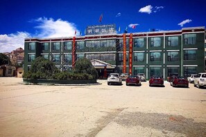 Unclassified image, 3 of 11, button - Jiangyan Minghu Hotel (Gyantse)
