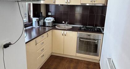 Charming 2-bedroom apartment with AC, WiFi in superb Arad