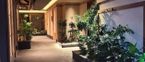 A corridor with potted plants, wooden flooring, and a ceiling with exposed beams.