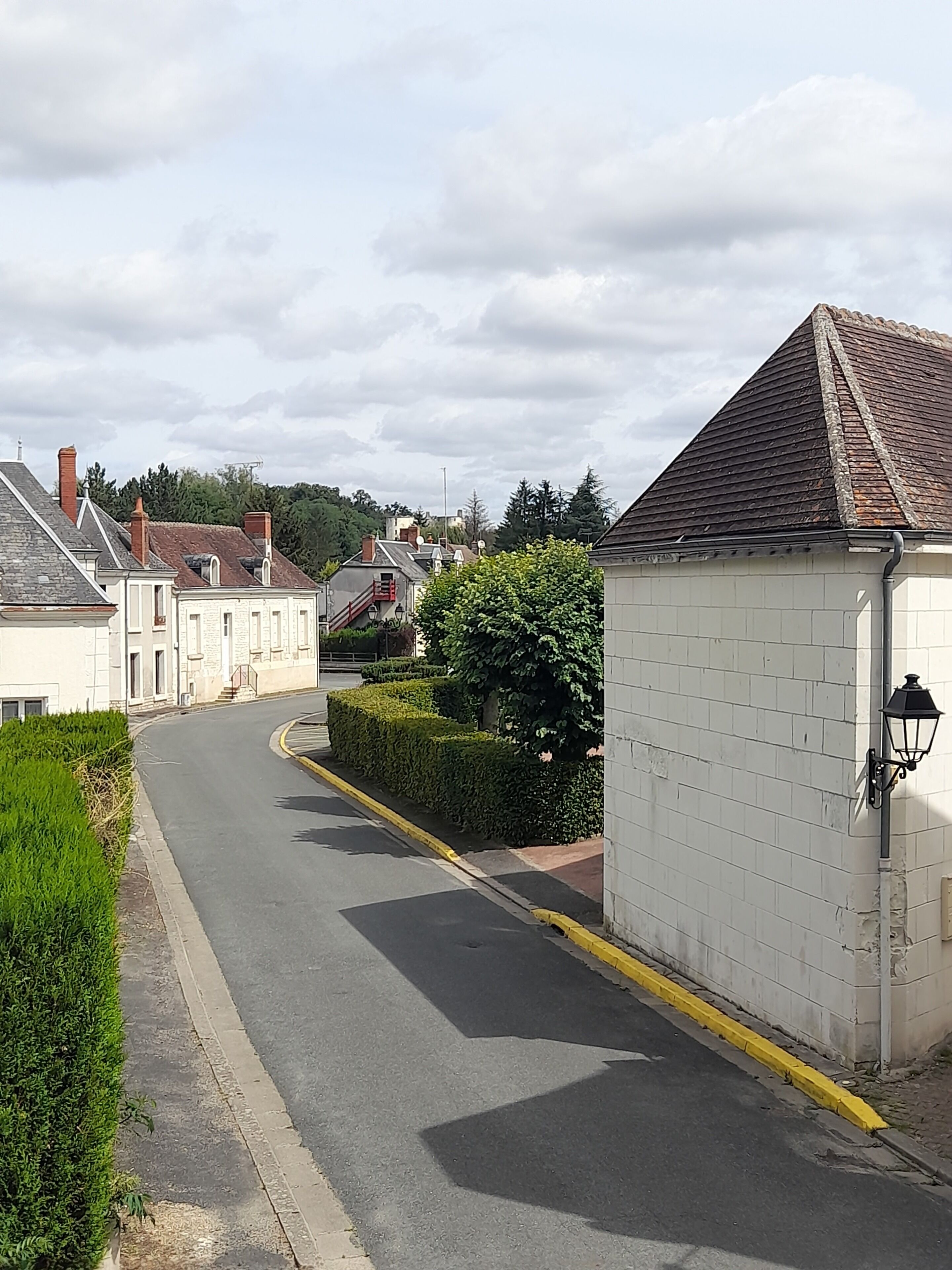 A narrow street with residential buildings, a white wall with a lamp post, and a hedge.