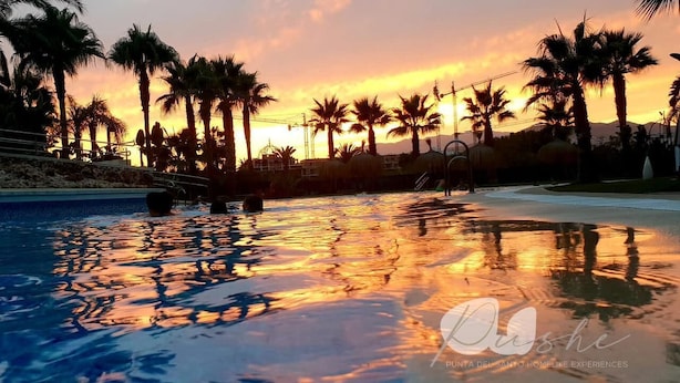 A pool with palm trees and a sunset in the background.