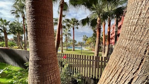 A tropical resort with palm trees, a wooden fence, and a pool area.