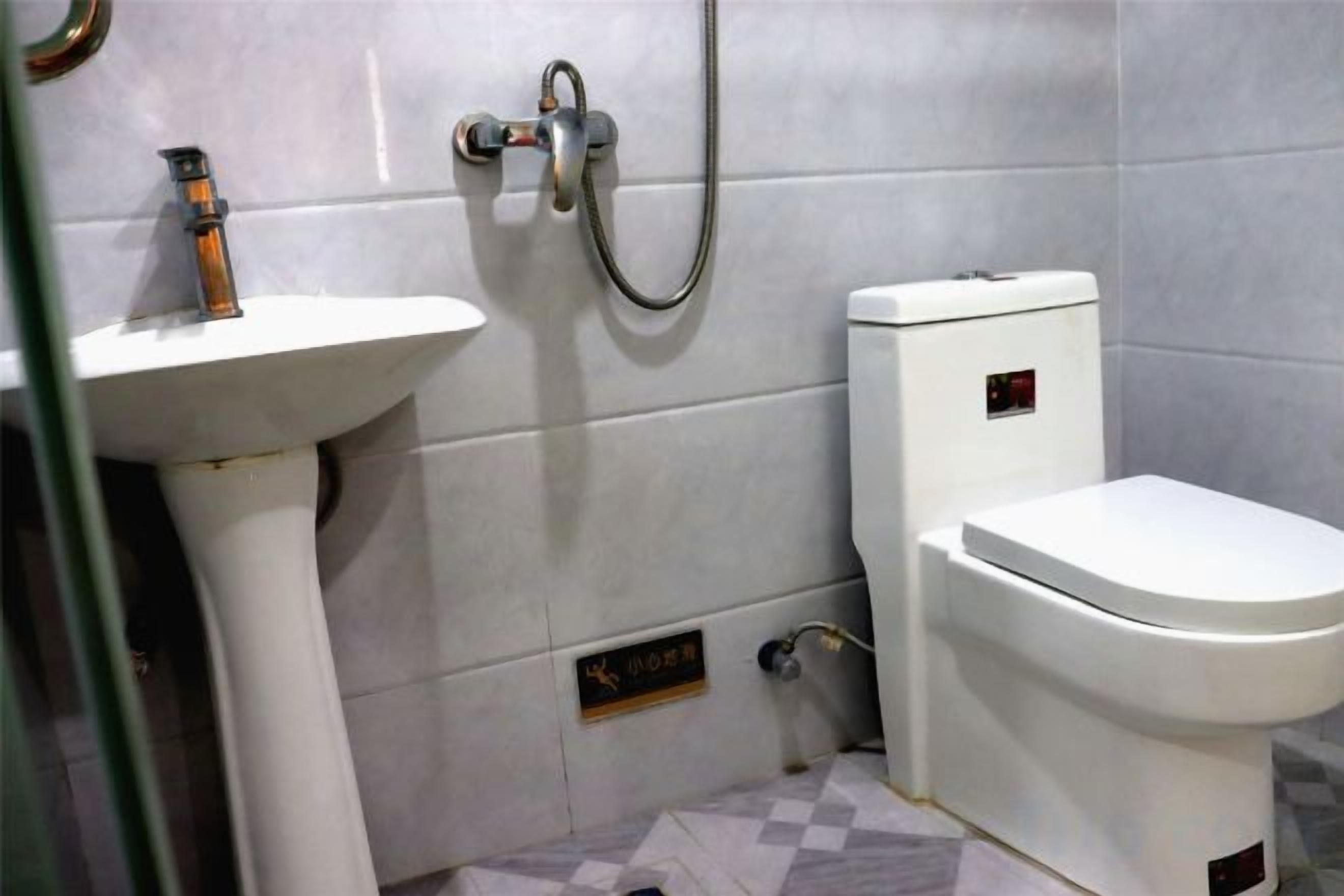 Une salle de bain avec un lavabo sur colonne, des toilettes et une douche.