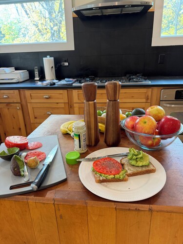 HollyKissHudsonValley Renovated 1900 Lodge, Full House, including Guest Suite