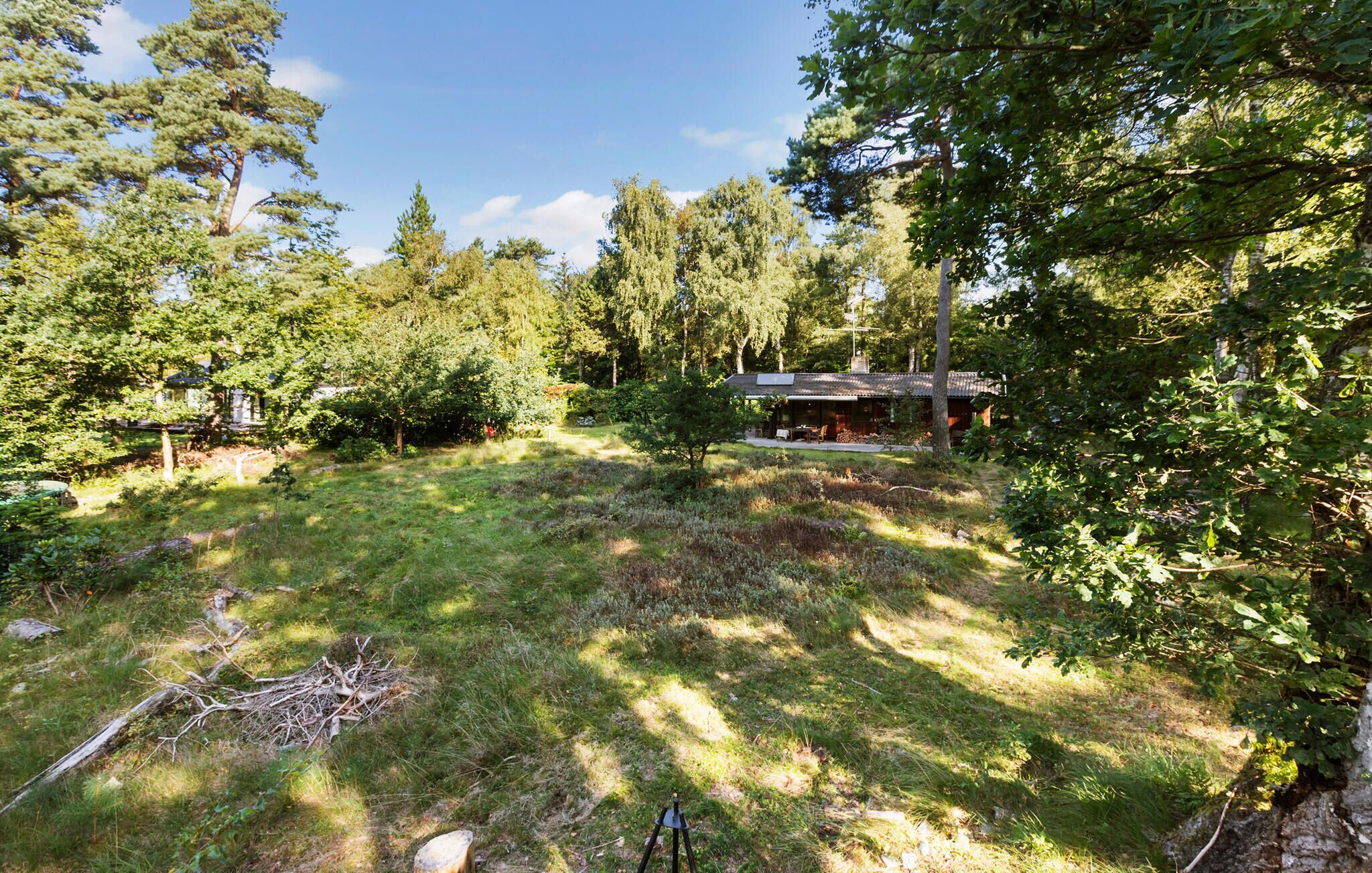 A rustic cabin surrounded by dense forest, with a clear sky above.