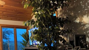 Una cocina moderna con piso de madera, una planta grande en maceta y vistas a través de la ventana.