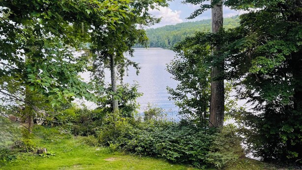 Paisaje natural con un lago, rodeado de árboles densos y una zona cubierta de hierba.