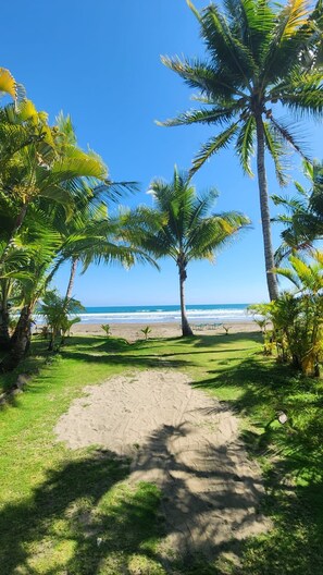 Chaises longues, serviettes de plage