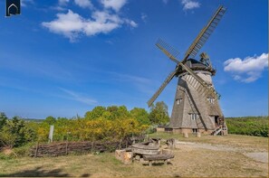 Uklassifisert bilde, 3 av 42, knapp