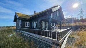 Eksteriør