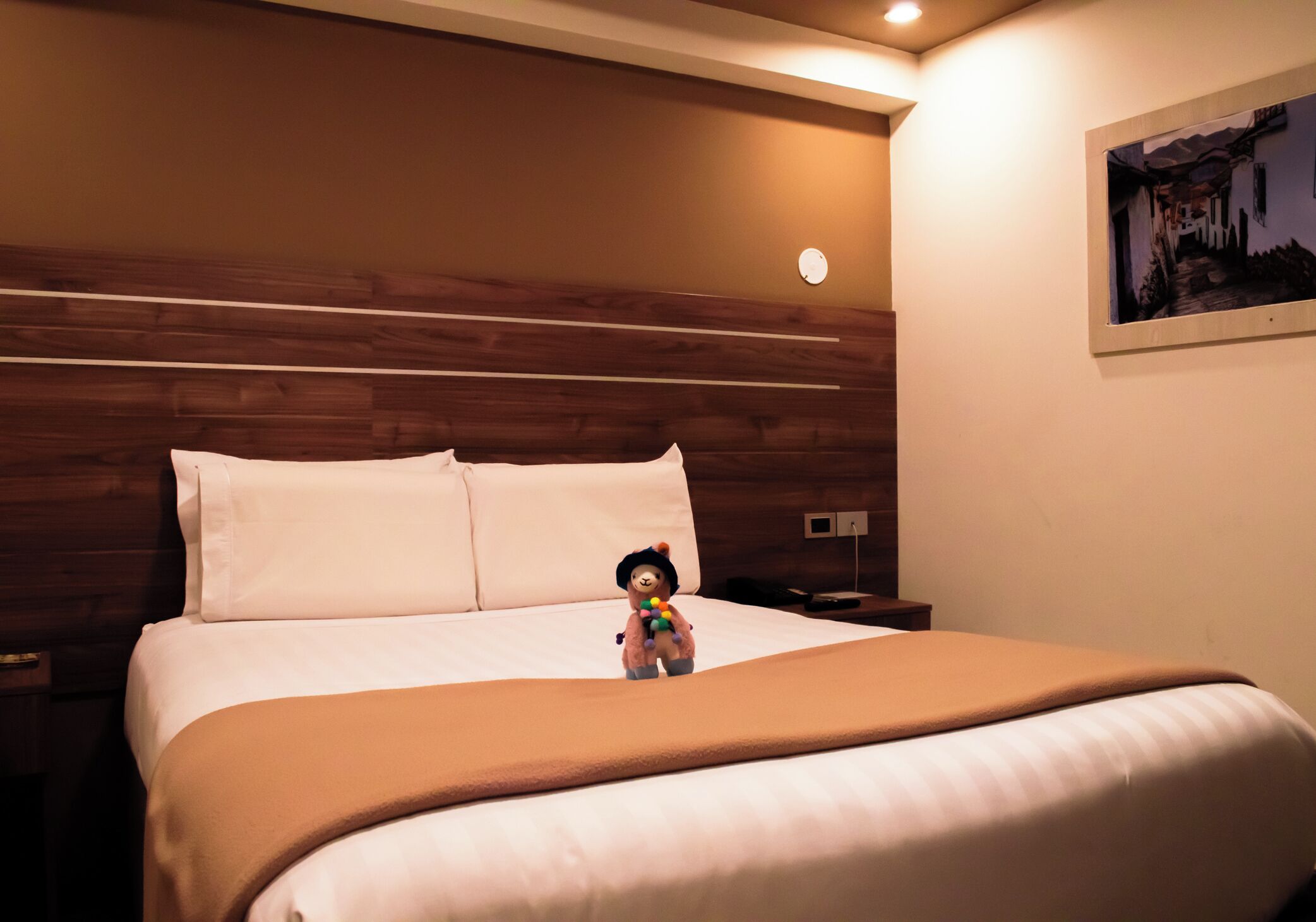 Standard-Doppelzimmer, 1 Doppelbett