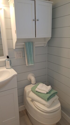 Eco-friendly toiletries, hair dryer, towels, soap