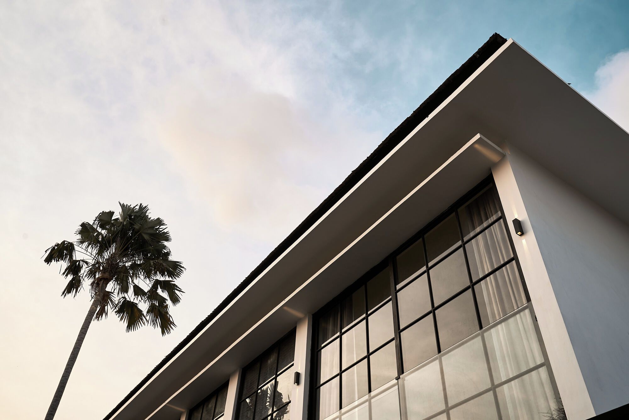 A modern building with large windows and a palm tree in the foreground.
