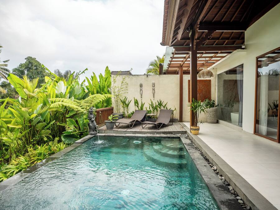 Una piscina con borde de piedra, rodeada de exuberante follaje tropical y dos sillas de descanso.