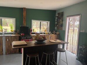 Kjøleskap, kokeplater, vannkoker og høy barnestol